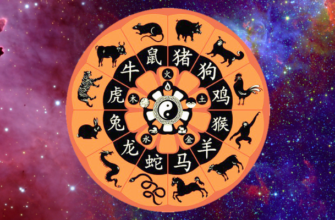 Совместимость знаков зодиака по китайскому гороскопу